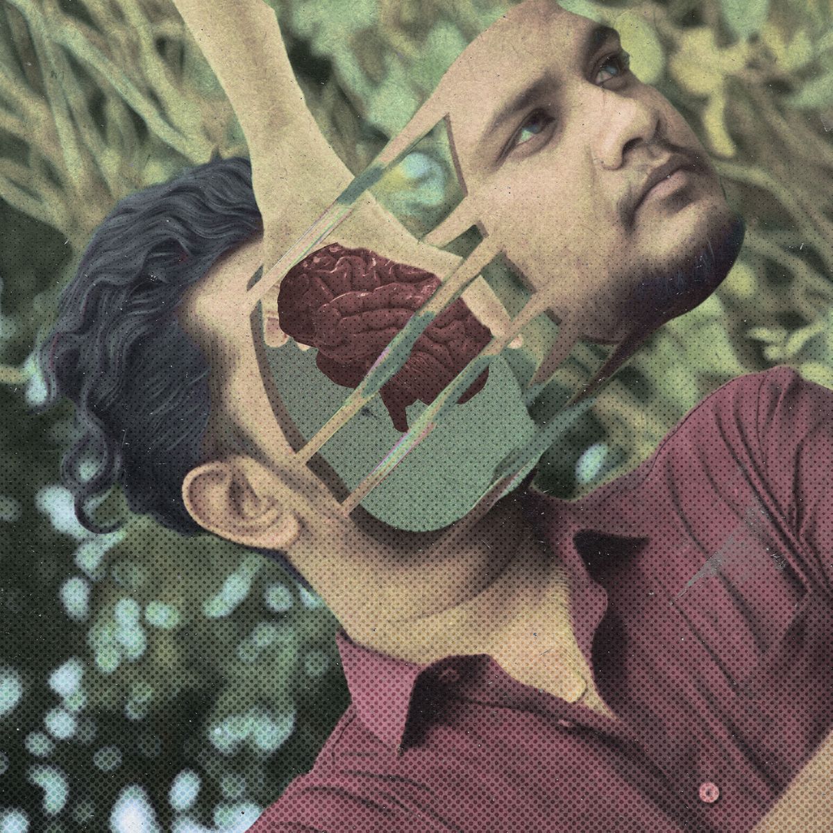 Surreal Edit
